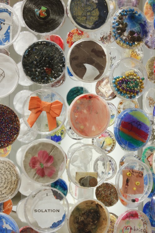 Jim Toia. The Petri Island Project (Detail), 2010–ongoing. Plastic petri dishes and mixed media. Dimensions variable.